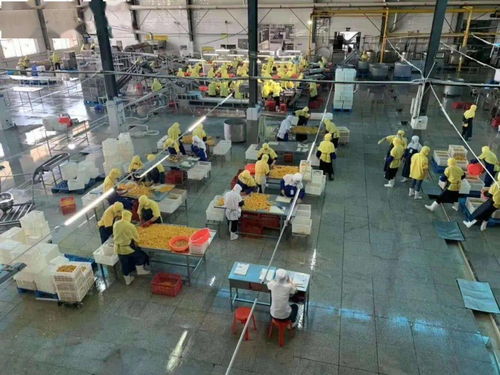 湖北食品廠季節性員工招聘啟事